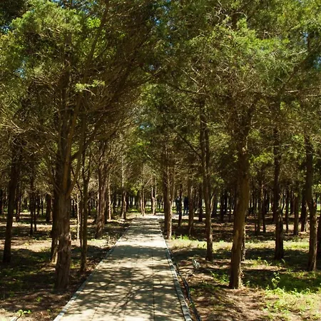 Blooming By The Sea - Cu Frontala Spre Mare 4* أوليمبْ