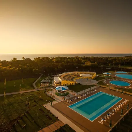 Blooming By The Sea - Cu Frontala Spre Mare