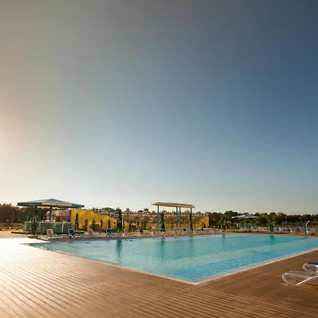 Blooming By The Sea - Cu Frontala Spre Mare *