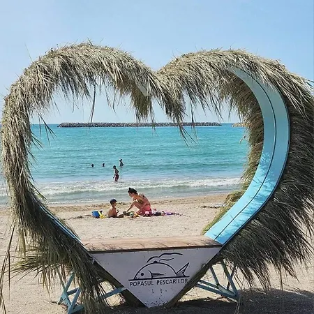 Blooming By The Sea - Cu Frontala Spre Mare